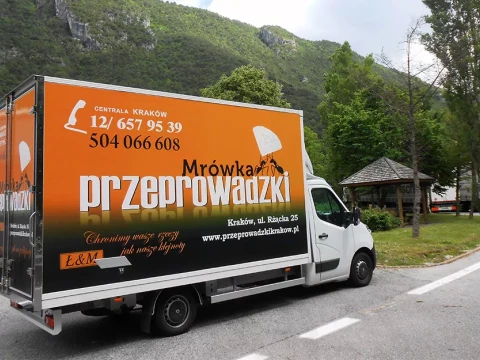 Przeprowadzki międzynarodowe
